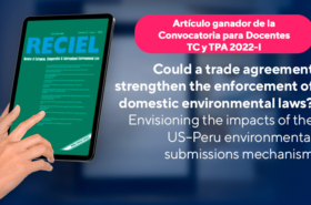 Artículo ganador de la Convocatoria Conjunta para Docentes TC y TPA 2022-1: «Could a trade agreement strengthen the enforcement of domestic environmental laws?»